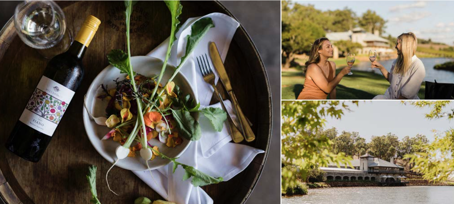 Screen-Shot-2023-04-24-at-83637-am