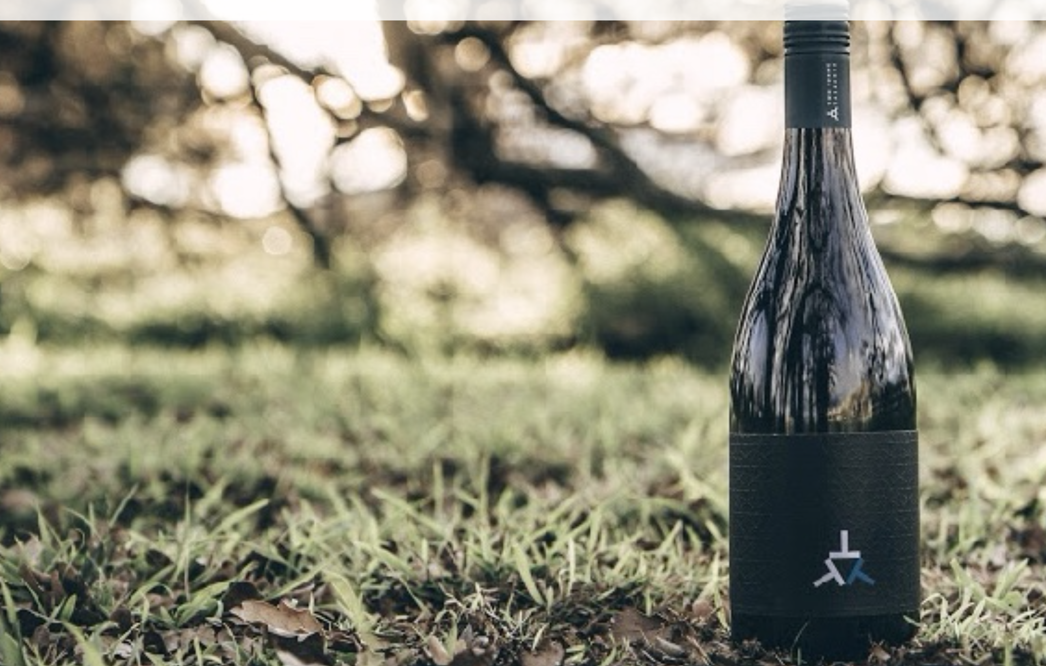 Screen-Shot-2023-04-25-at-103925-am