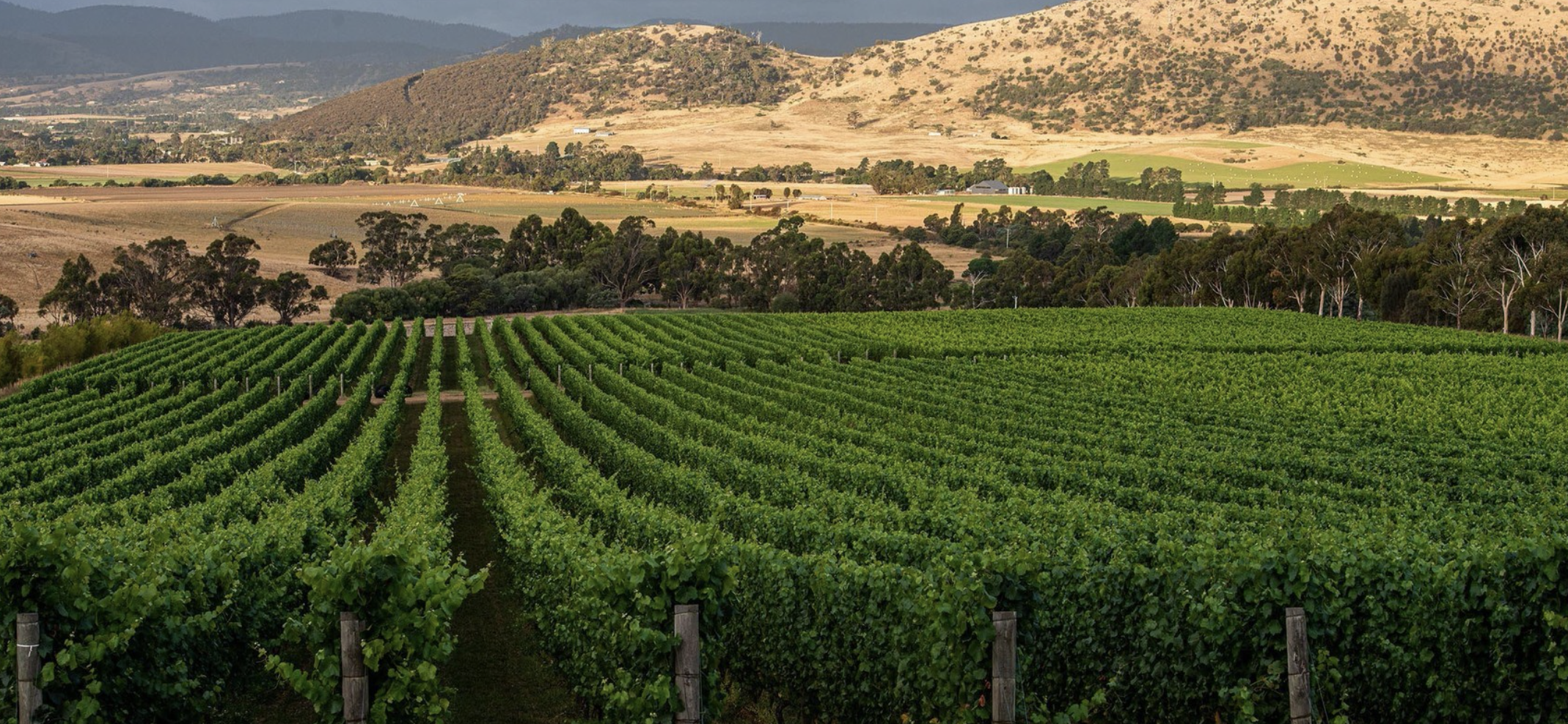 Screen-Shot-2023-04-25-at-104618-am