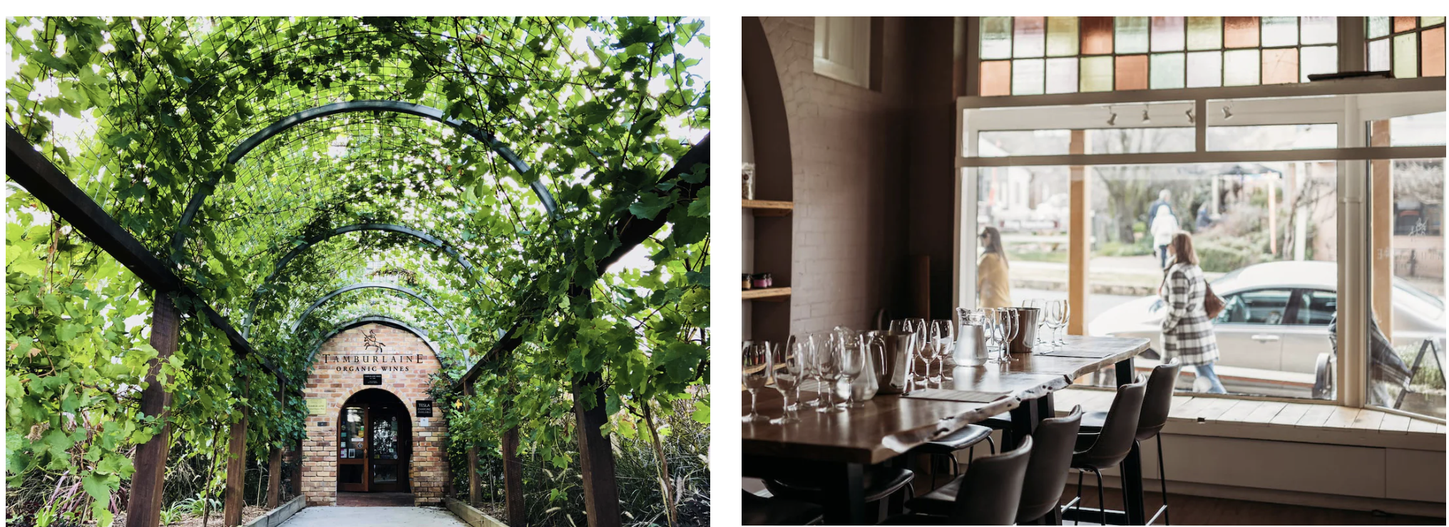 Screen-Shot-2023-04-25-at-110324-am