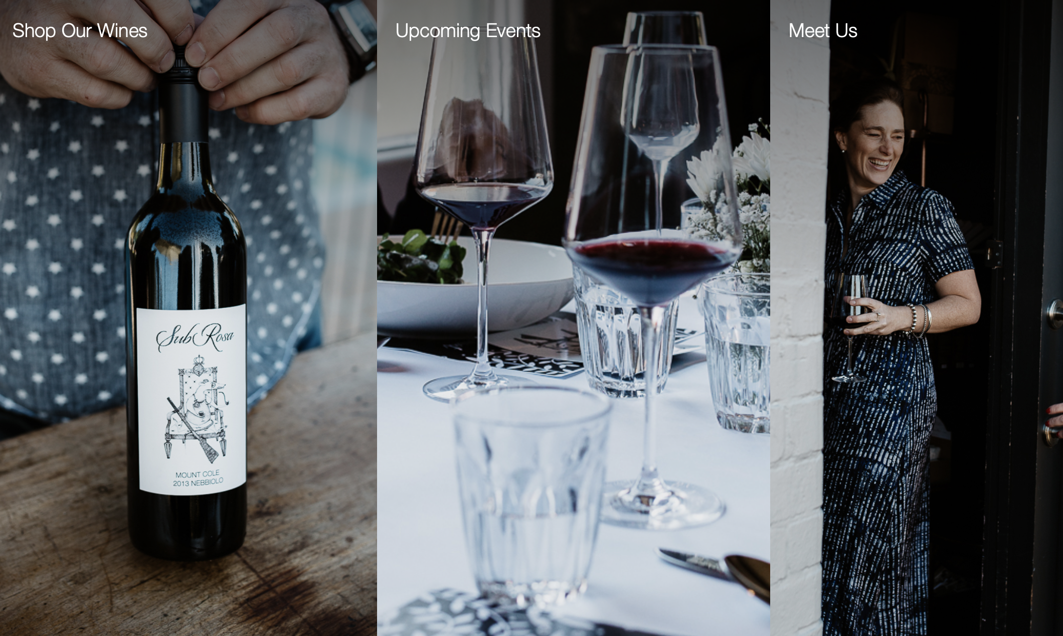 Screen-Shot-2023-04-25-at-111245-am