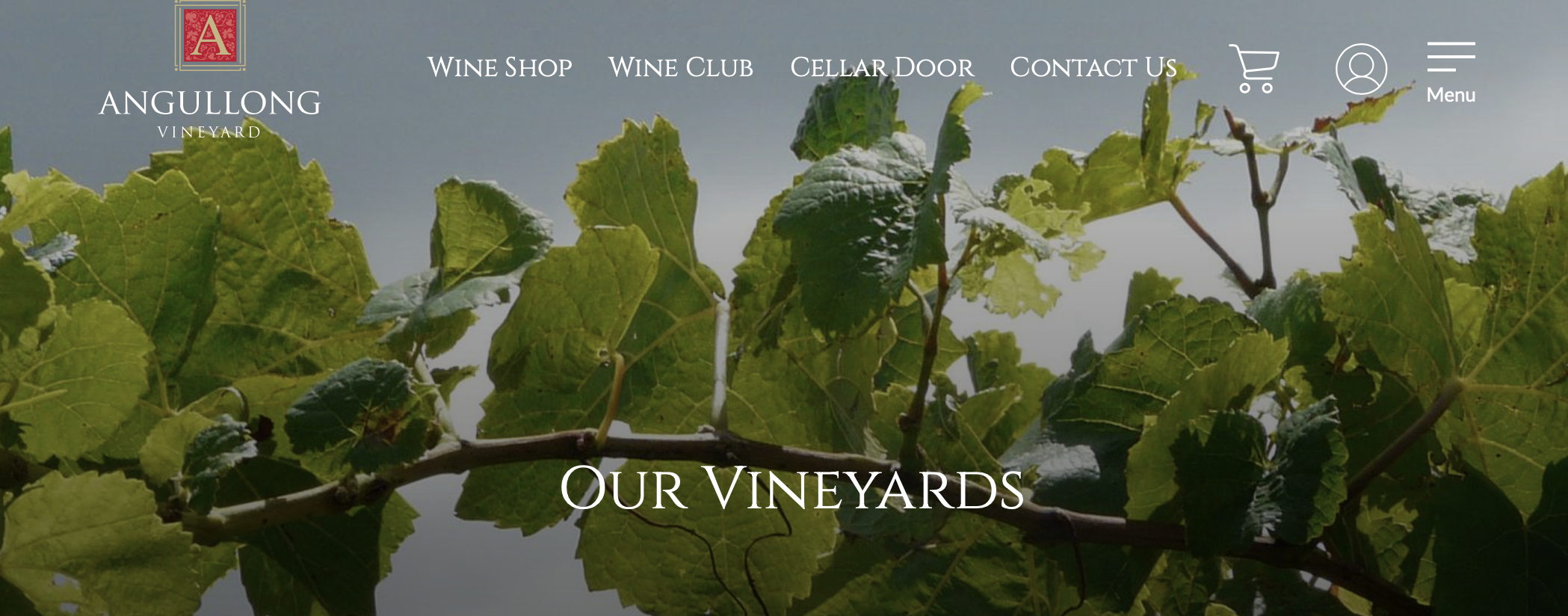 Screen-Shot-2023-04-25-at-113130-am