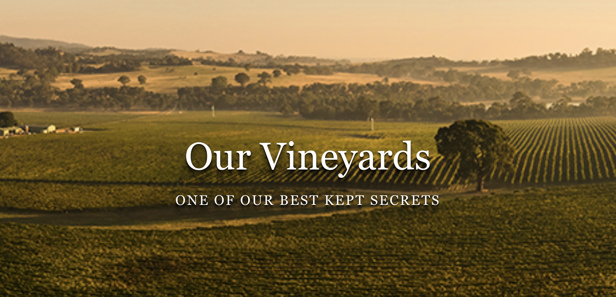 Screen-Shot-2023-04-25-at-113951-am