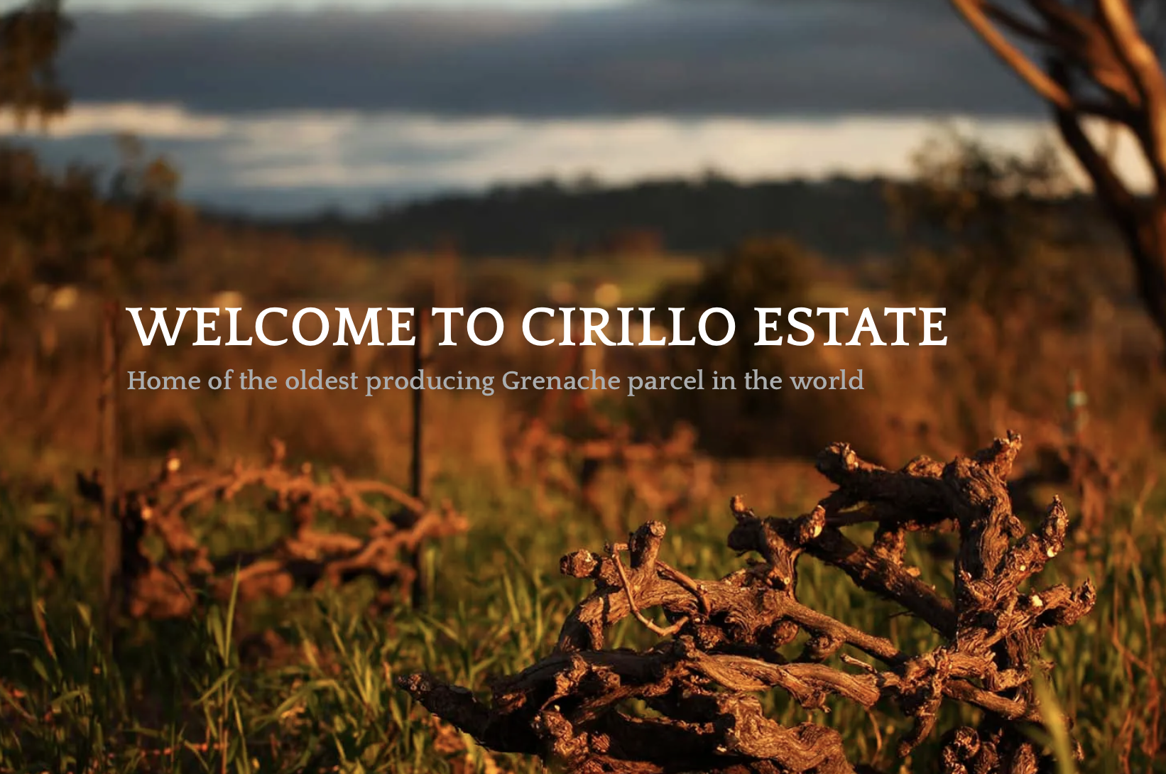 Screen-Shot-2023-04-25-at-115533-am