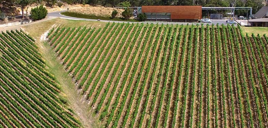 Screen-Shot-2023-04-25-at-115826-am