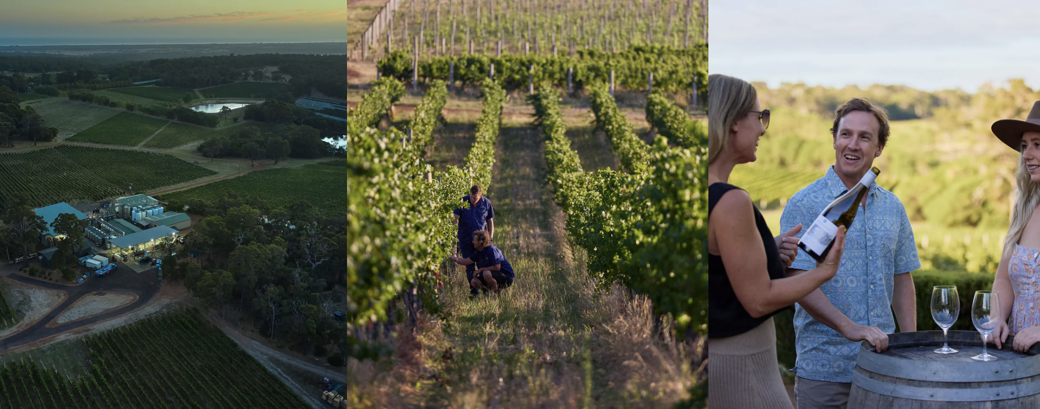 Screen-Shot-2023-04-25-at-121322-pm