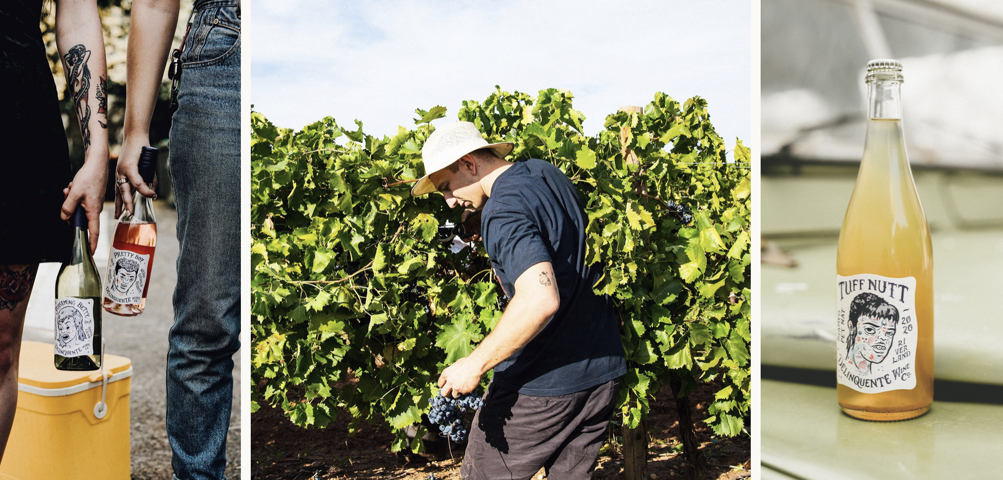 Screen-Shot-2023-04-25-at-121524-pm