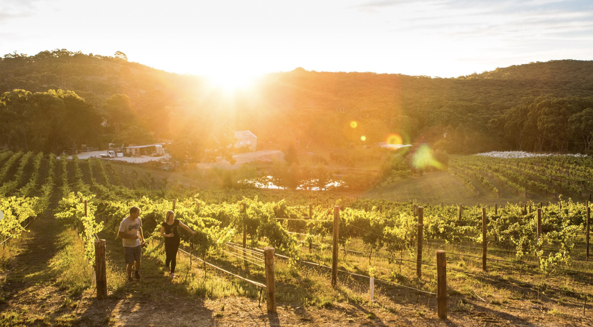 Screen-Shot-2023-04-25-at-121832-pm