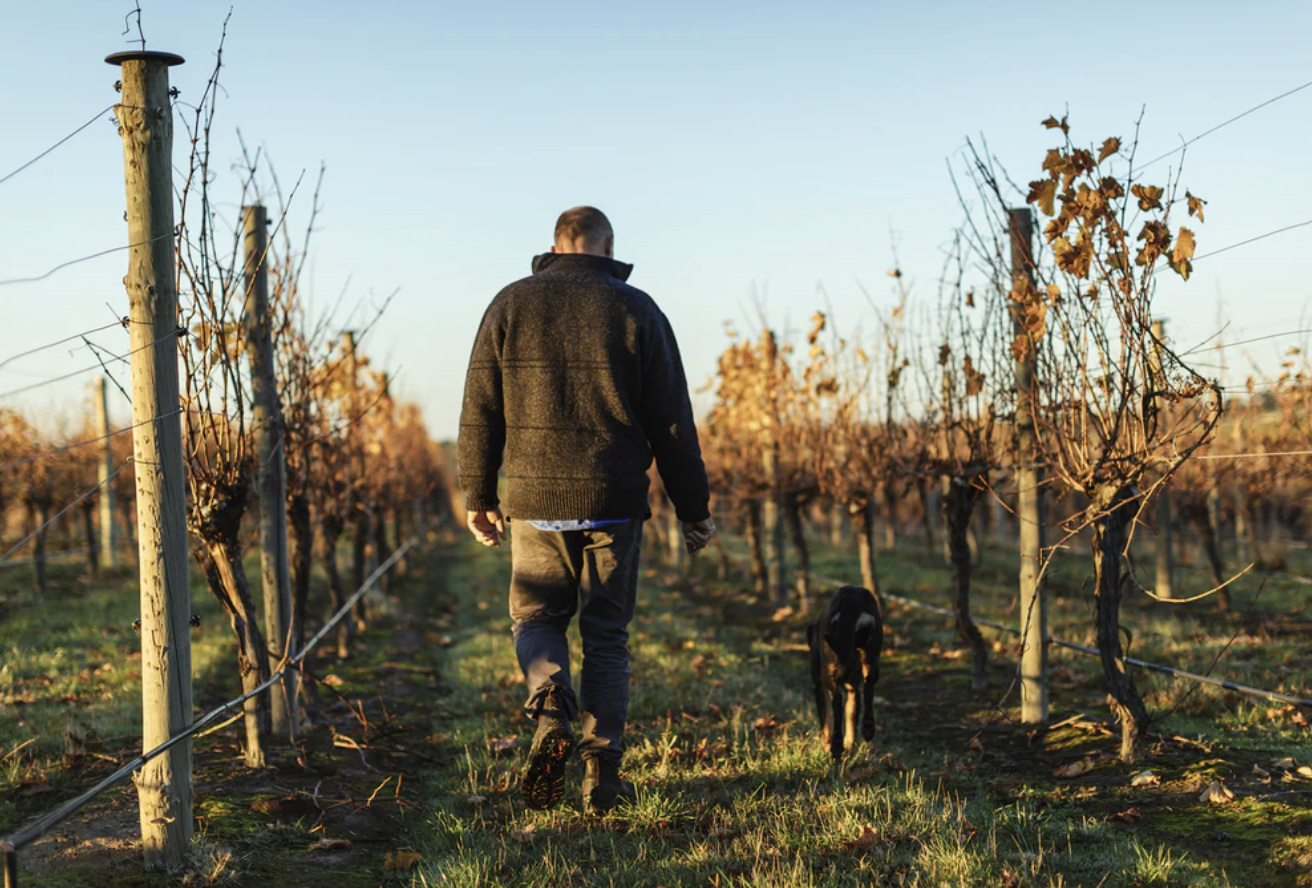 Screen-Shot-2023-04-25-at-45654-pm