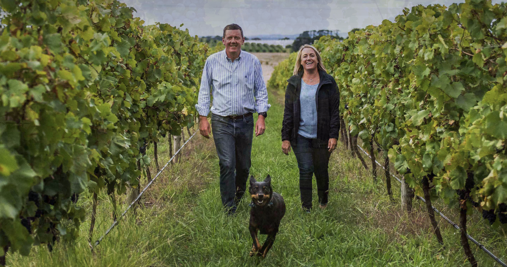 Screen-Shot-2023-04-25-at-51042-pm