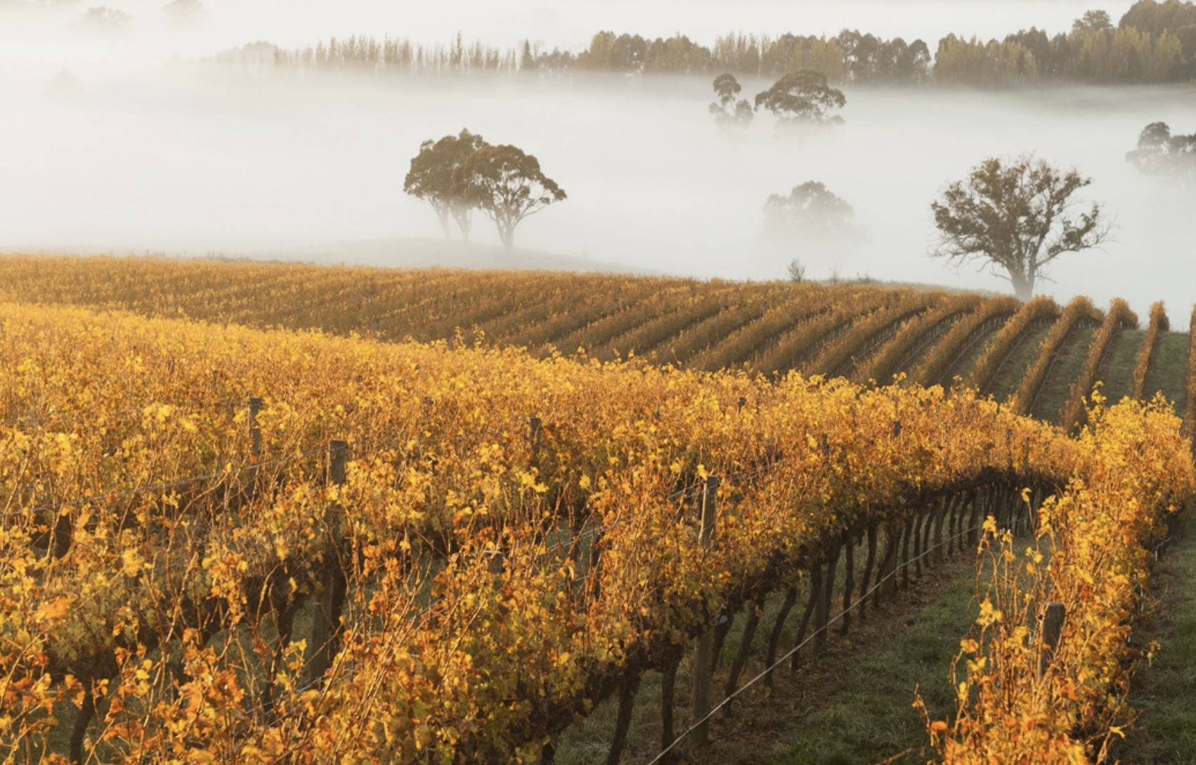 Screen-Shot-2023-04-25-at-52201-pm