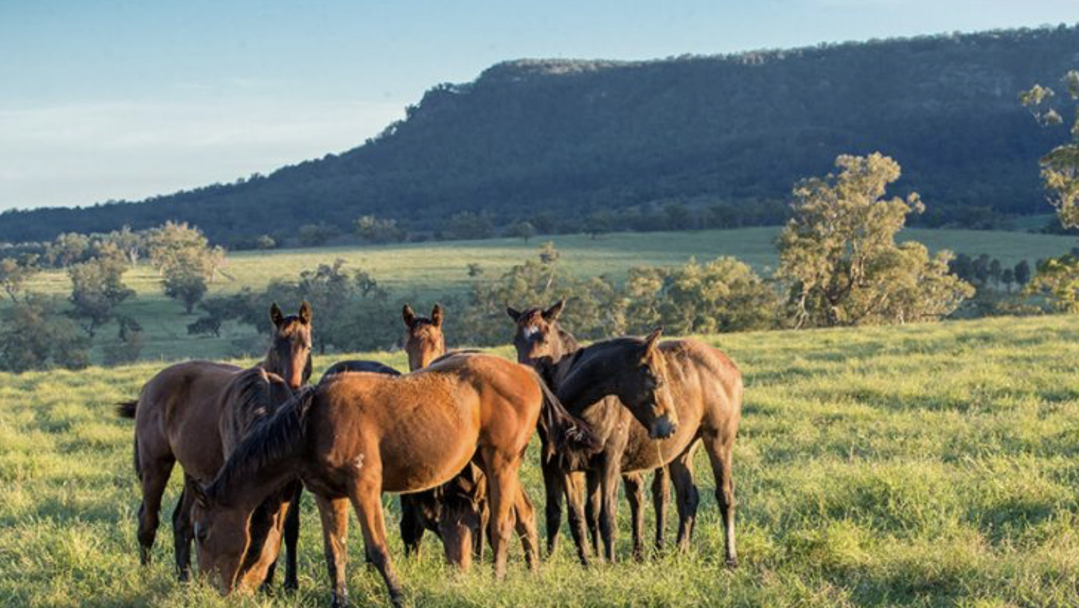 Screen-Shot-2023-04-26-at-123258-pm