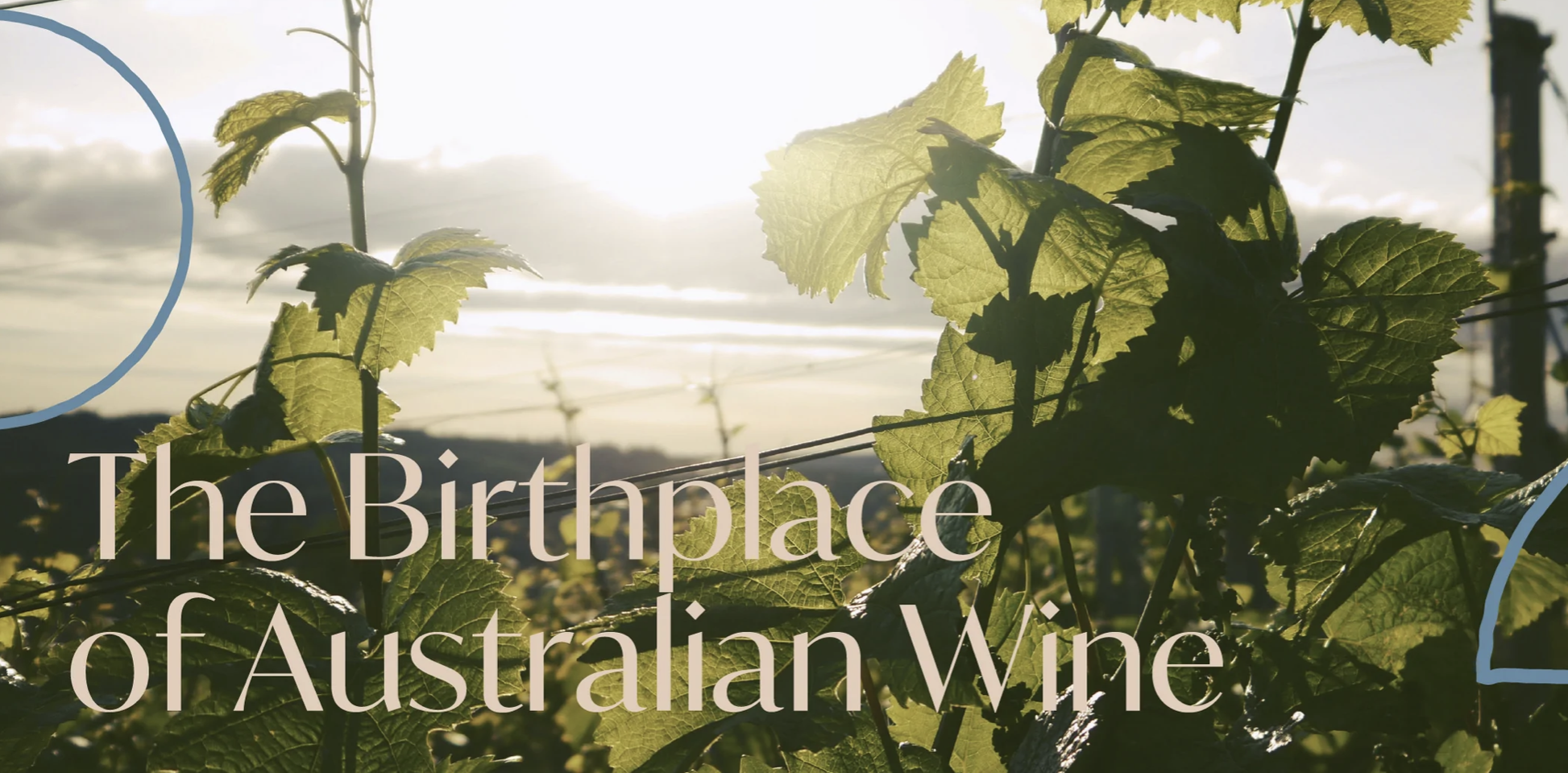 Screen-Shot-2023-04-26-at-41742-pm