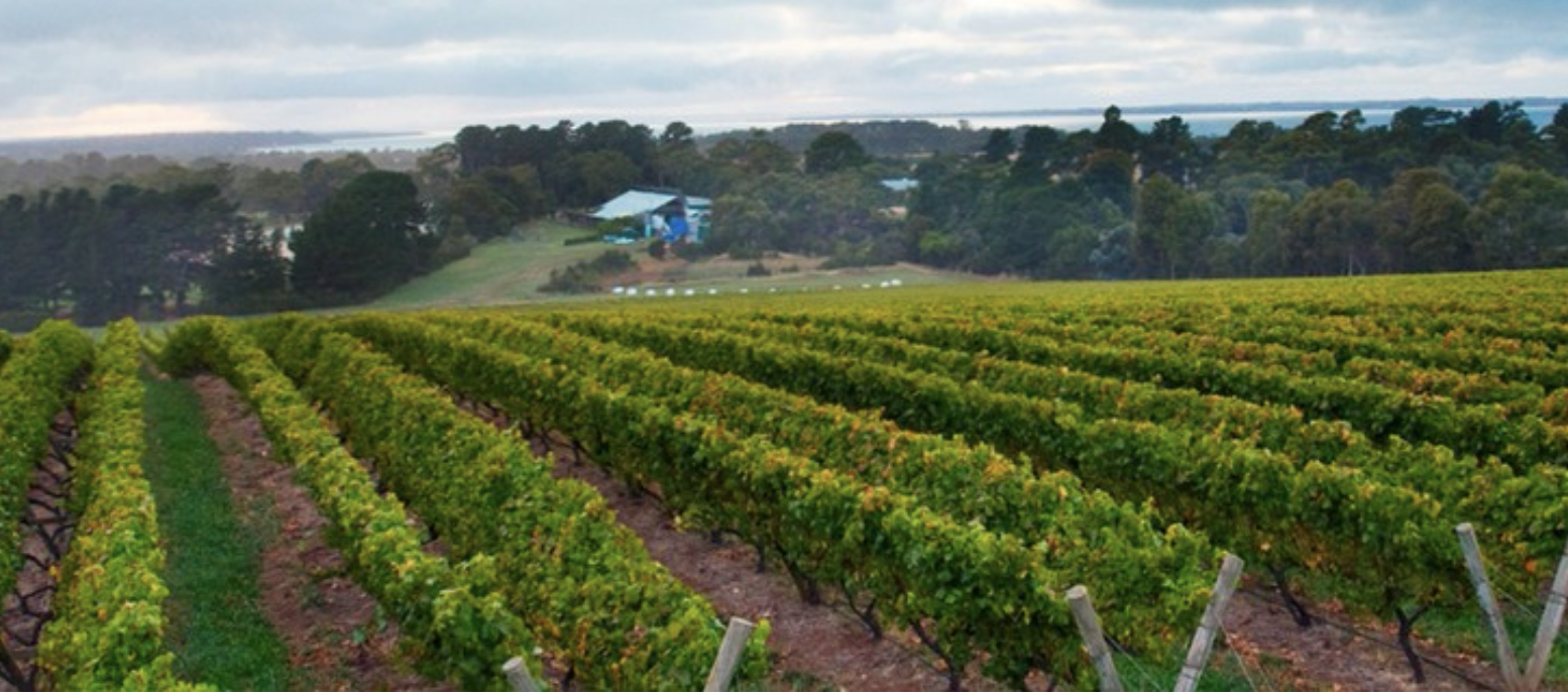 Screen-Shot-2023-04-25-at-44453-pm