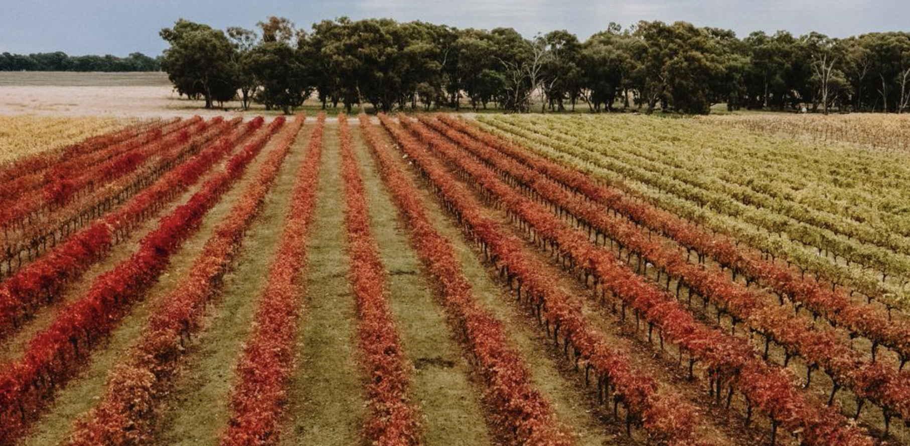 Screen-Shot-2023-04-25-at-44842-pm