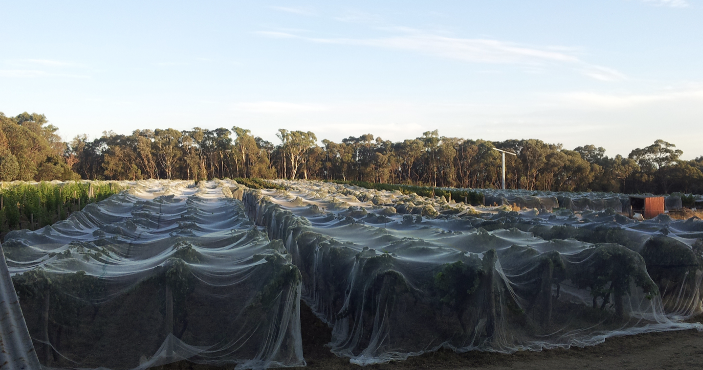 Screen-Shot-2023-04-25-at-45333-pm