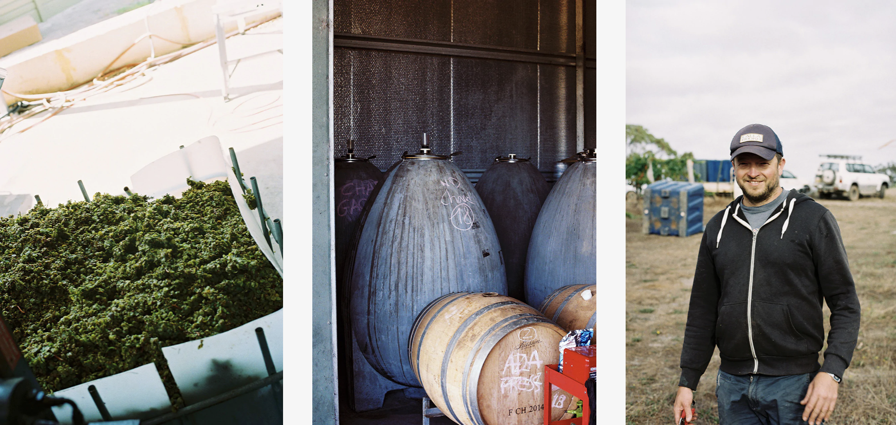 Screen-Shot-2023-04-25-at-45523-pm