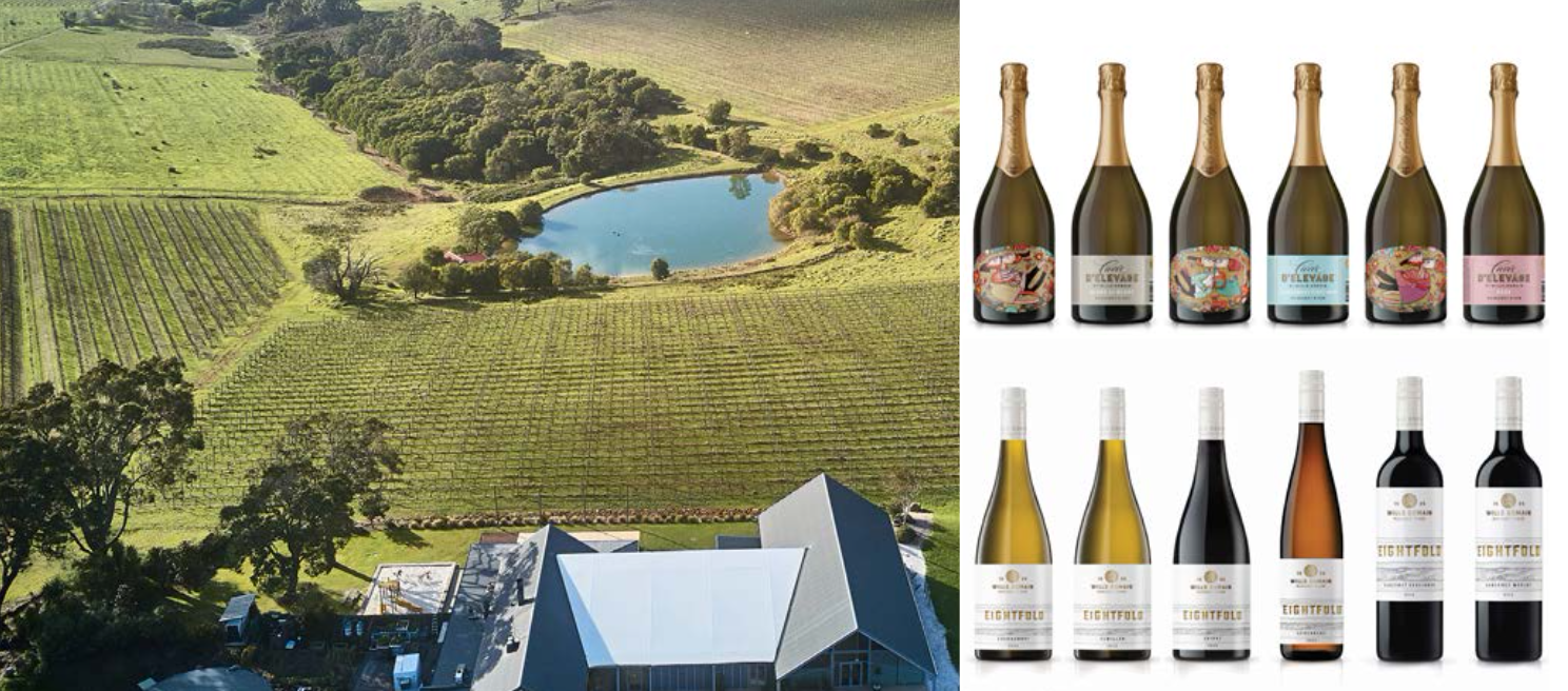 Screen-Shot-2023-04-22-at-123912-pm