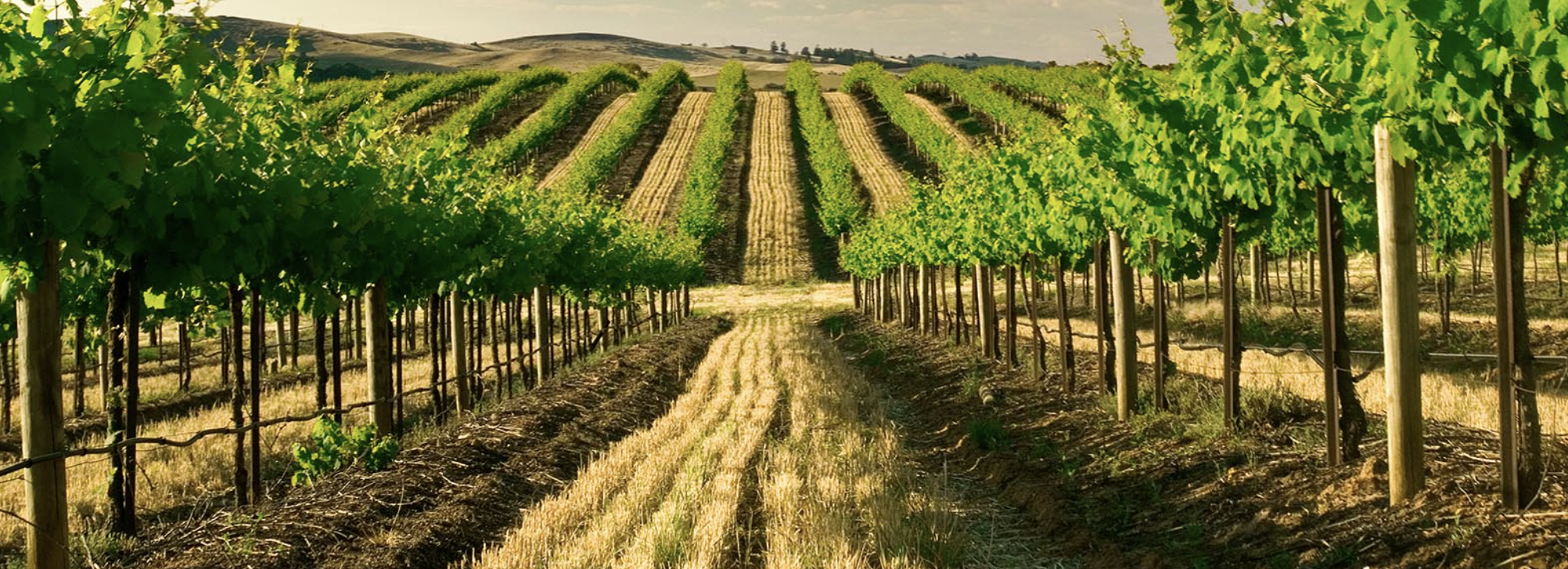 Screen-Shot-2023-04-25-at-103228-am