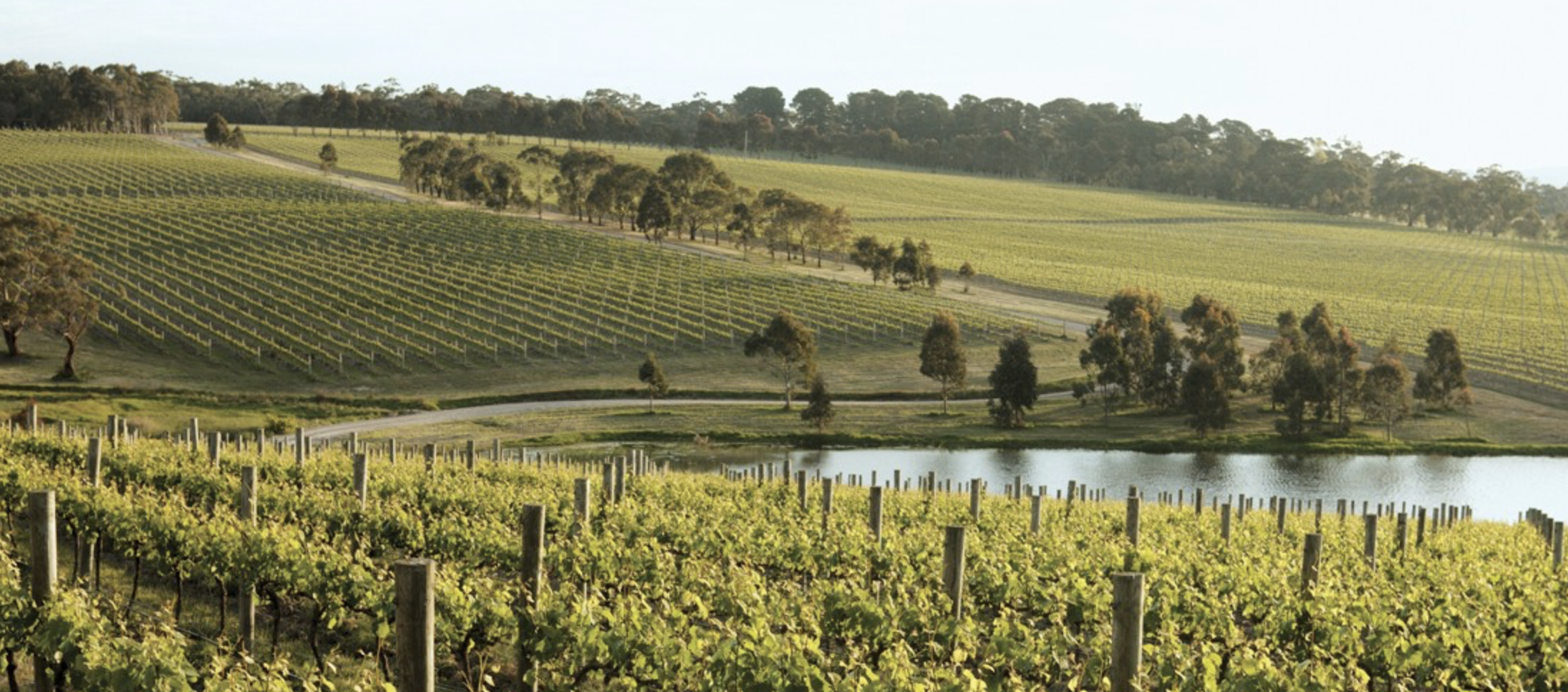 Screen-Shot-2023-04-25-at-103019-am