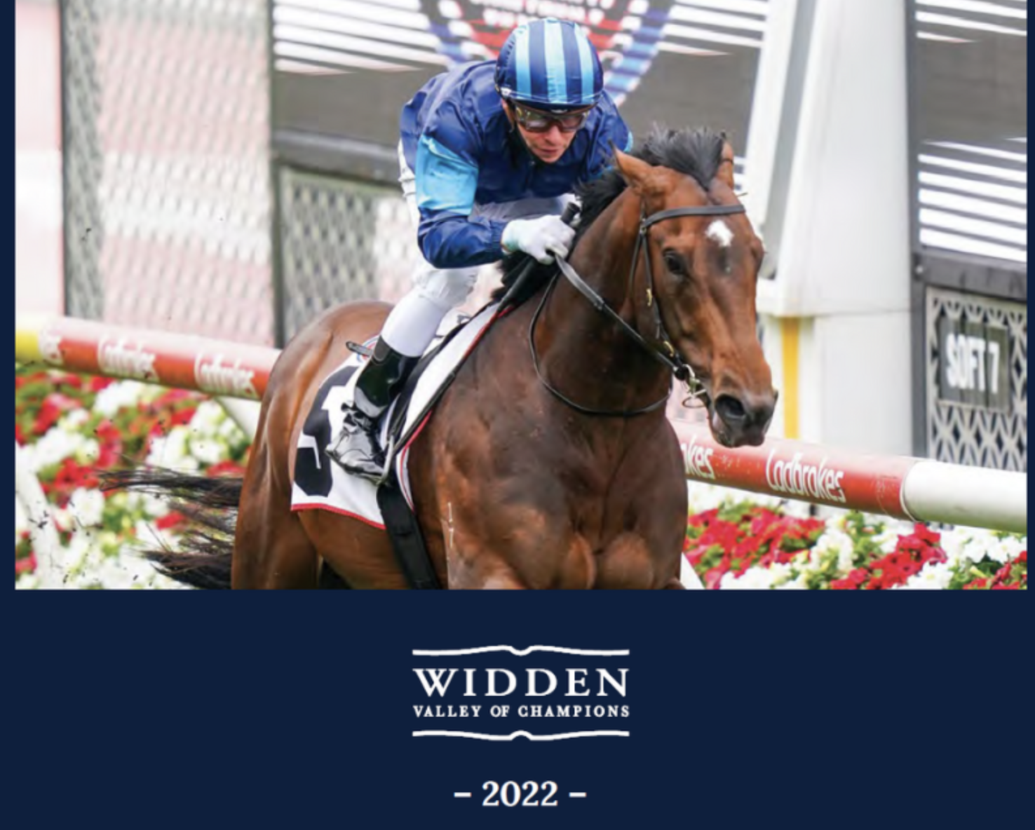 Screen-Shot-2023-04-29-at-121818-pm