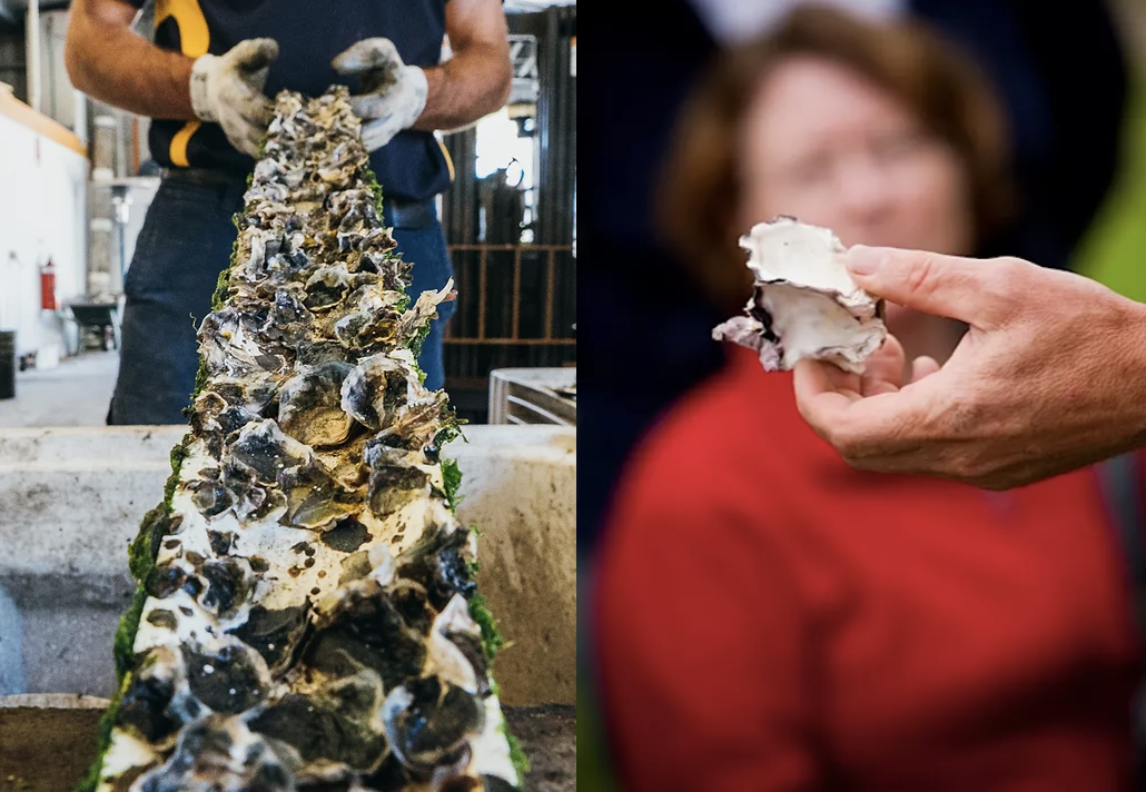 Screen-Shot-2023-04-29-at-122753-pm