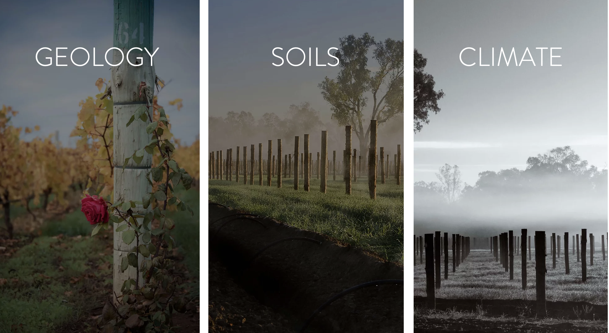 Screen-Shot-2023-04-29-at-11049-pm