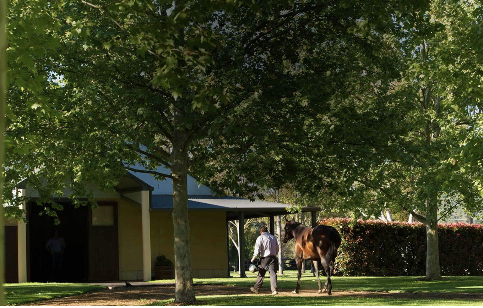 Screen-Shot-2023-04-29-at-15357-pm