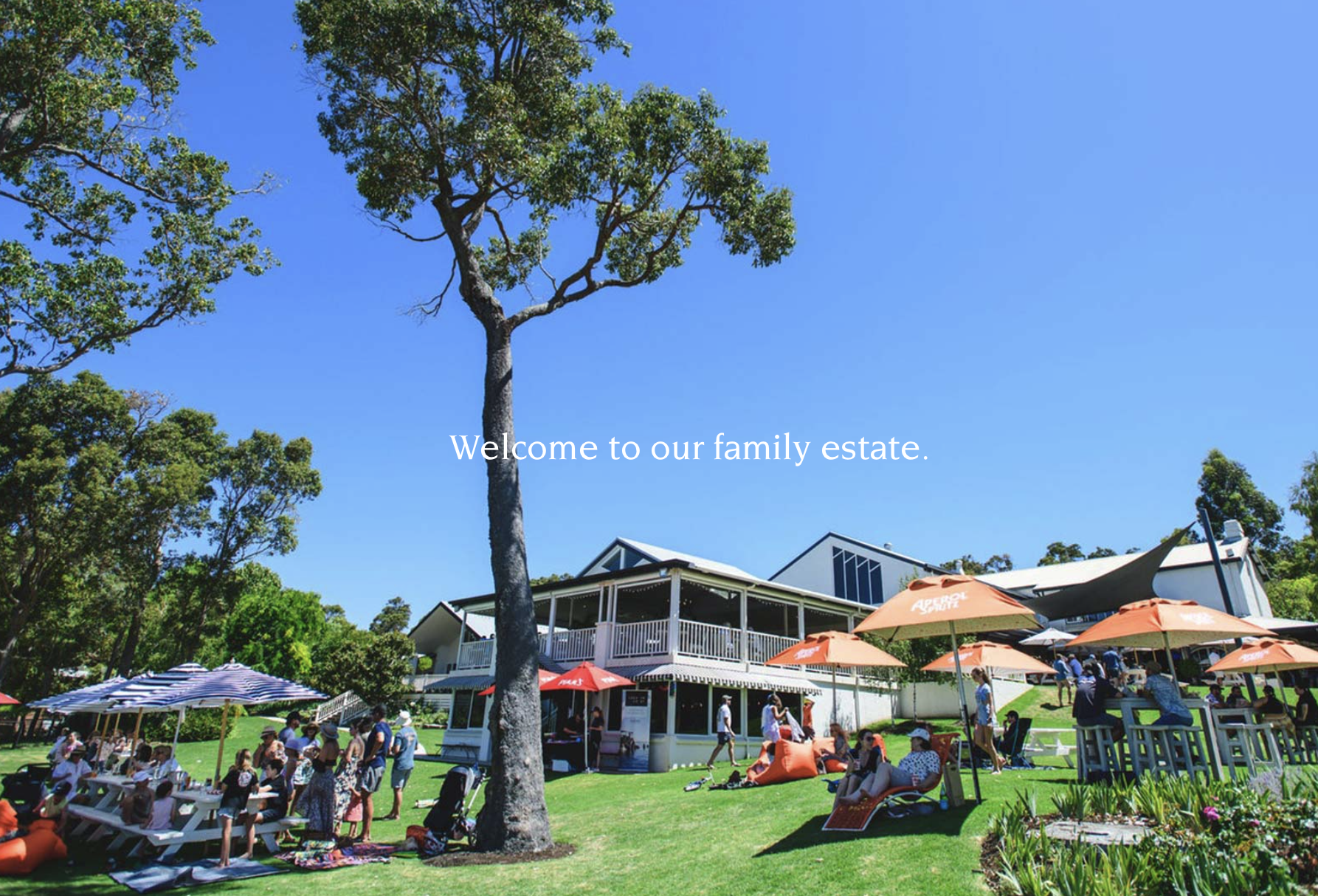 Screen-Shot-2023-04-30-at-115047-am