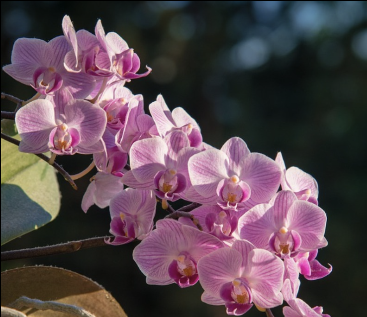 Screen-Shot-2023-04-30-at-14810-pm