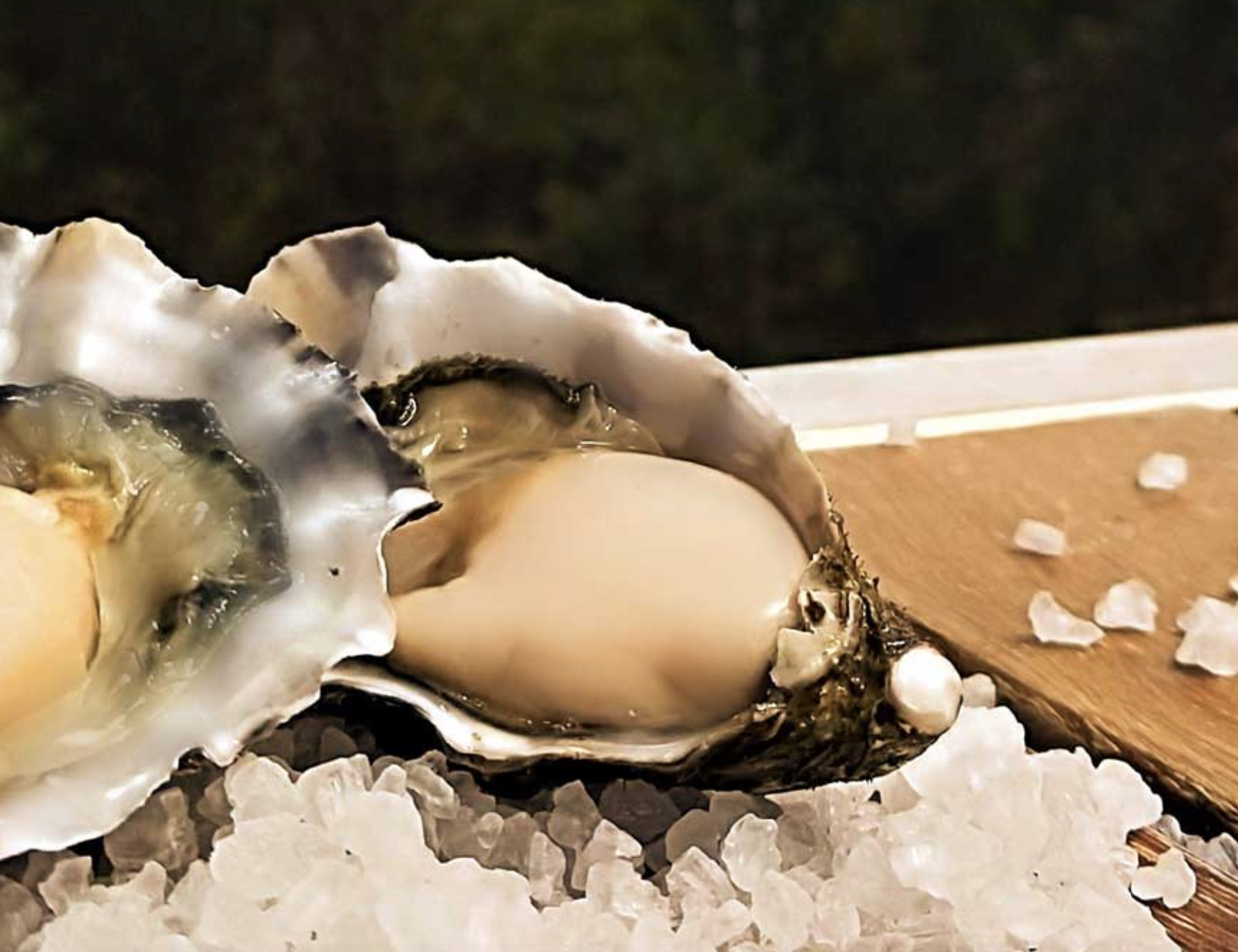 Screen-Shot-2023-04-30-at-20549-pm