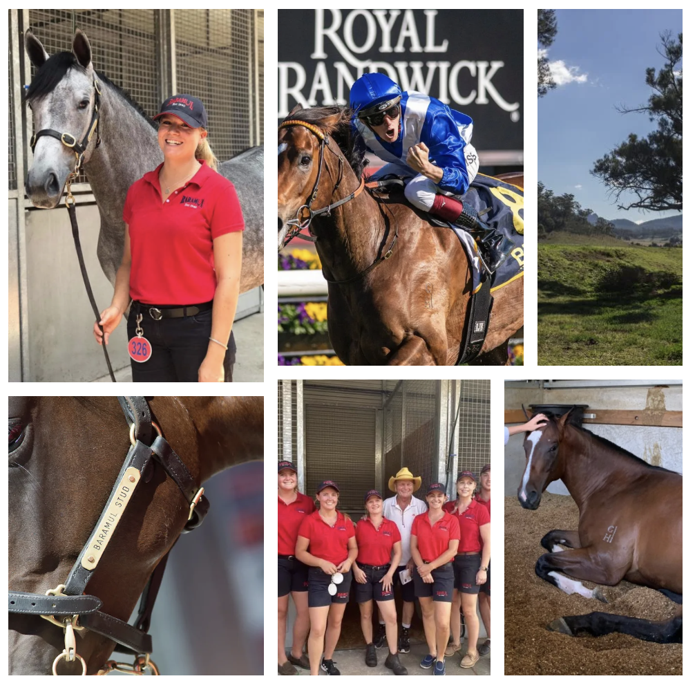 Screen-Shot-2023-04-30-at-21954-pm