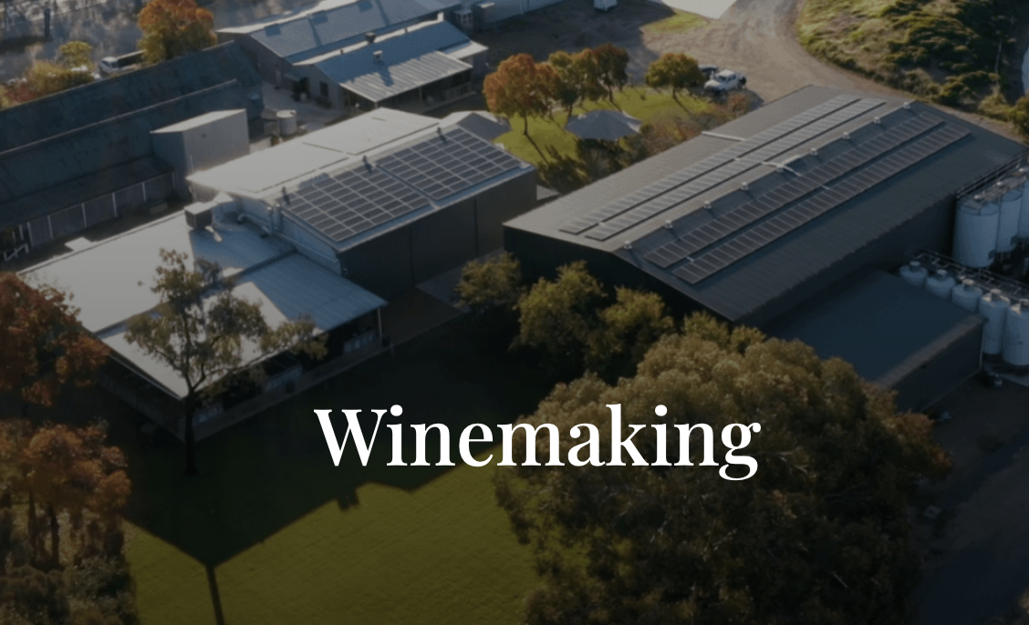 Screen-Shot-2023-05-07-at-95513-am