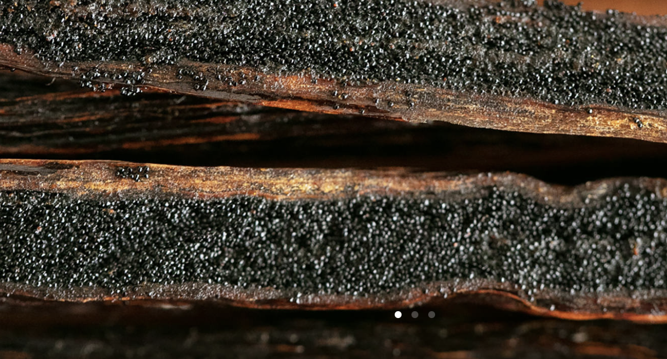 Screen-Shot-2023-05-07-at-101952-am