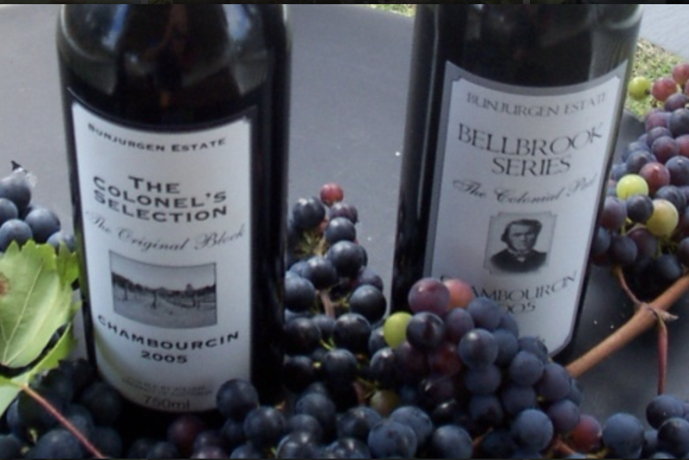 Screen-Shot-2023-05-08-at-90204-am