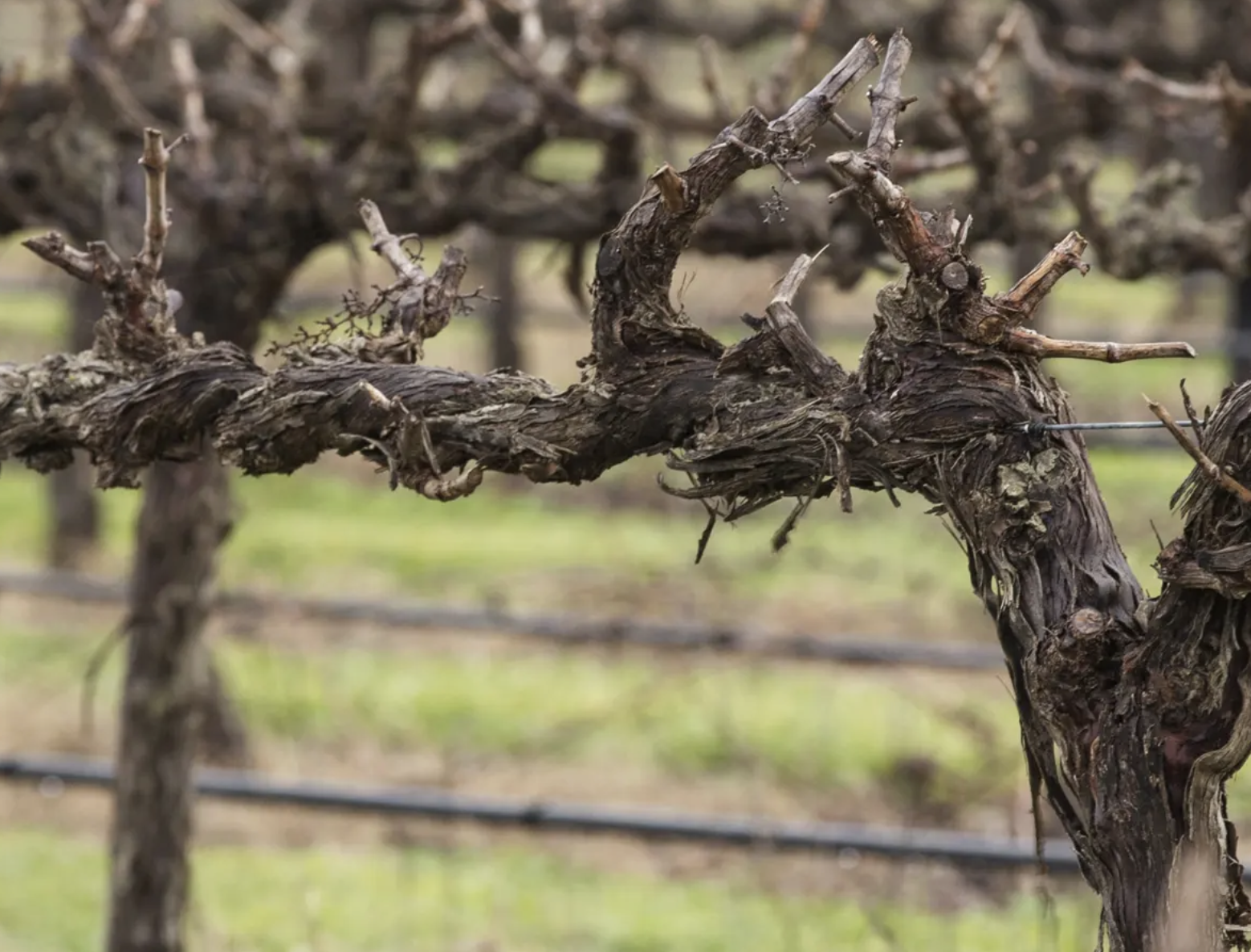 Screen-Shot-2023-05-20-at-121601-pm