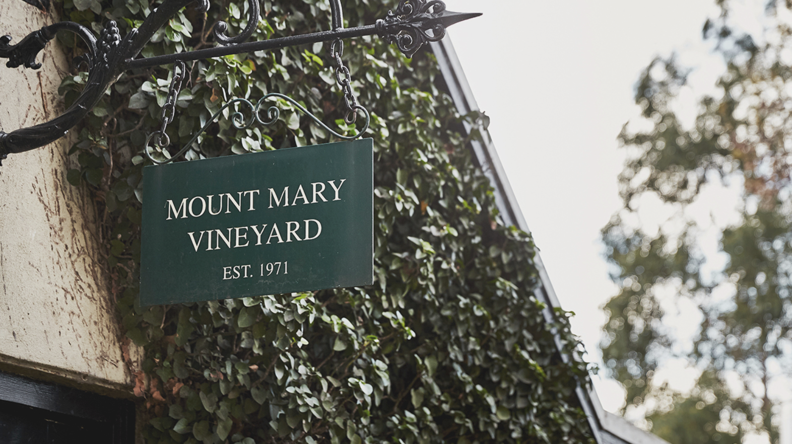 Screen-Shot-2023-05-20-at-124717-pm