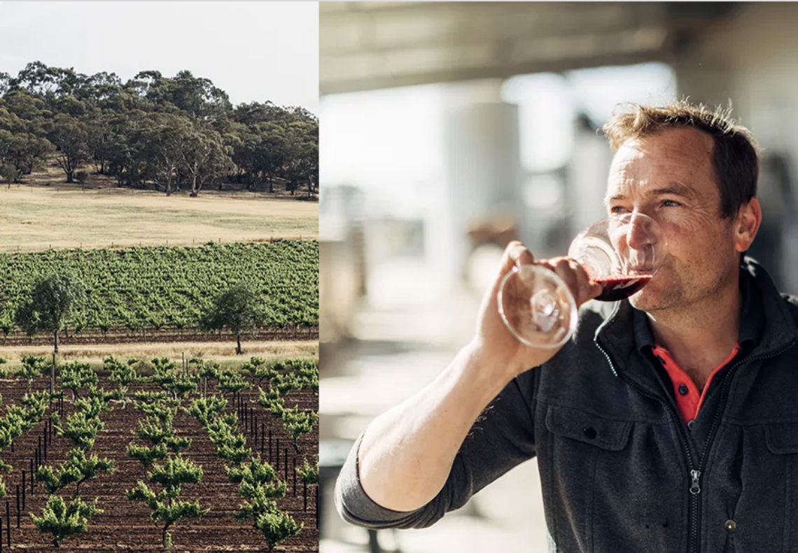 Screen-Shot-2023-05-21-at-124915-pm