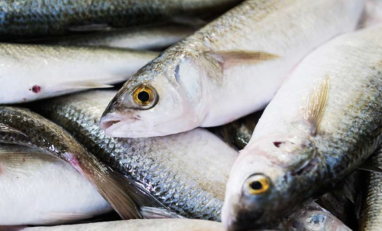 Screen-Shot-2023-05-29-at-42916-pm