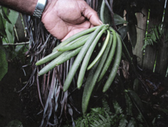 Screen-Shot-2023-05-29-at-45734-pm