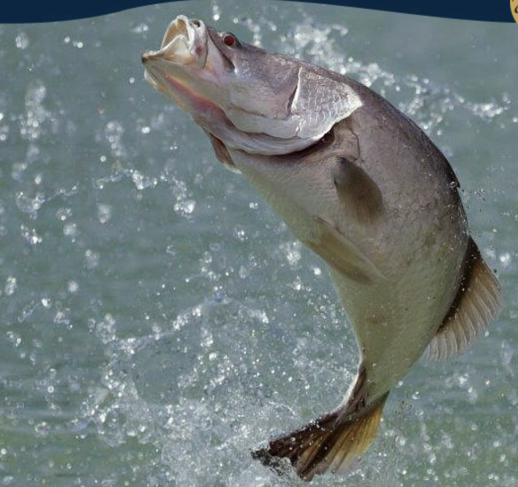 Screen-Shot-2023-05-29-at-45856-pm