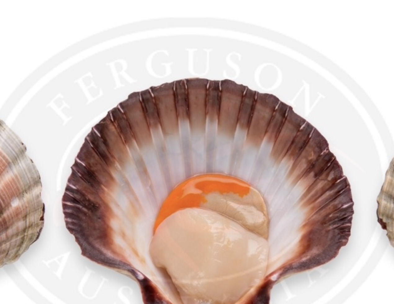 Screen-Shot-2023-05-30-at-50511-pm