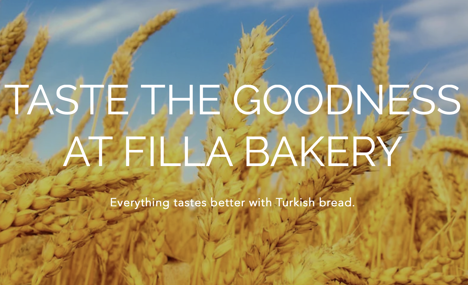 Screen-Shot-2023-05-30-at-44821-pm