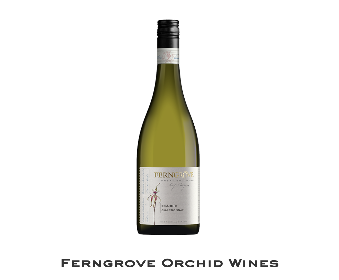 Screen-Shot-2023-05-30-at-45712-pm