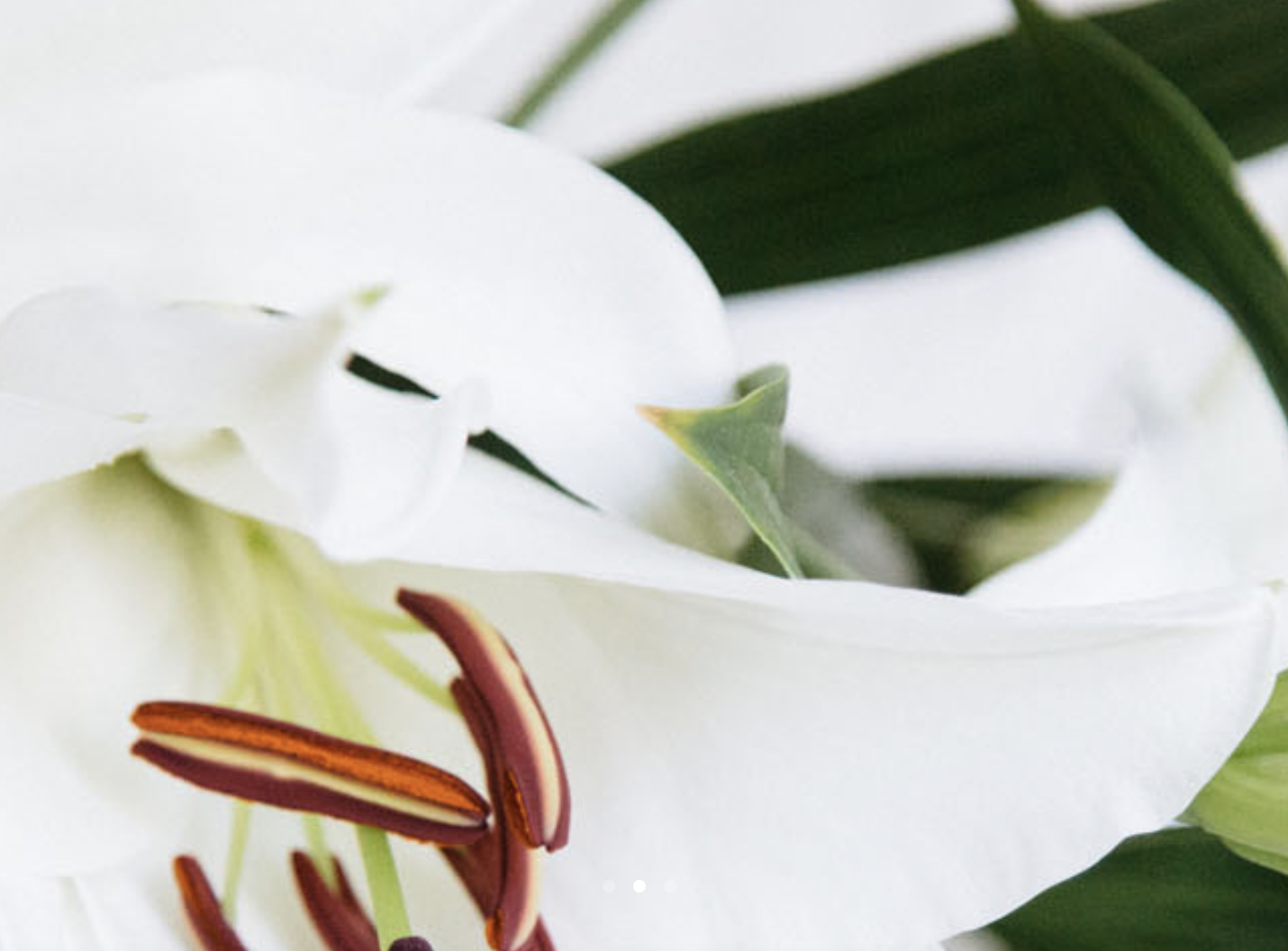 Screen-Shot-2023-06-01-at-101659-am