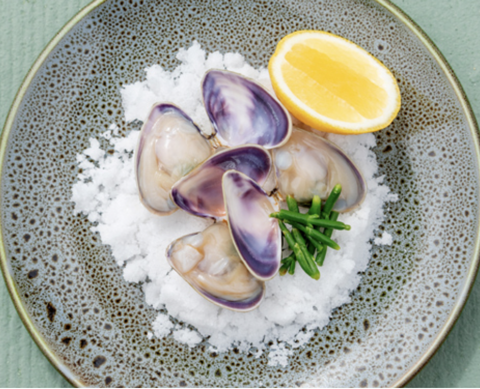 Screen-Shot-2023-06-01-at-120832-pm