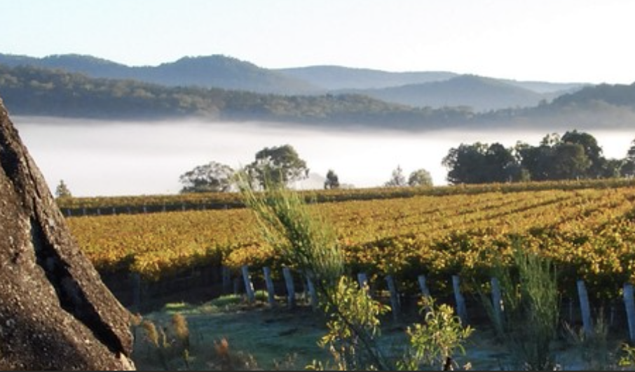 Screen-Shot-2023-06-01-at-122414-pm