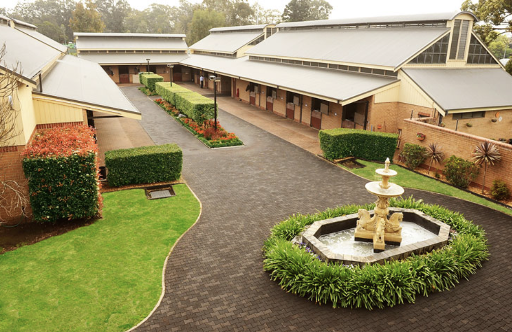 Screen-Shot-2023-06-01-at-111542-am