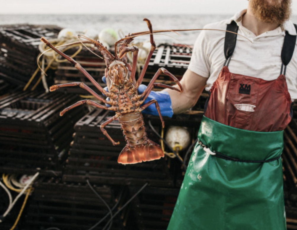 Screen-Shot-2023-06-01-at-113922-am