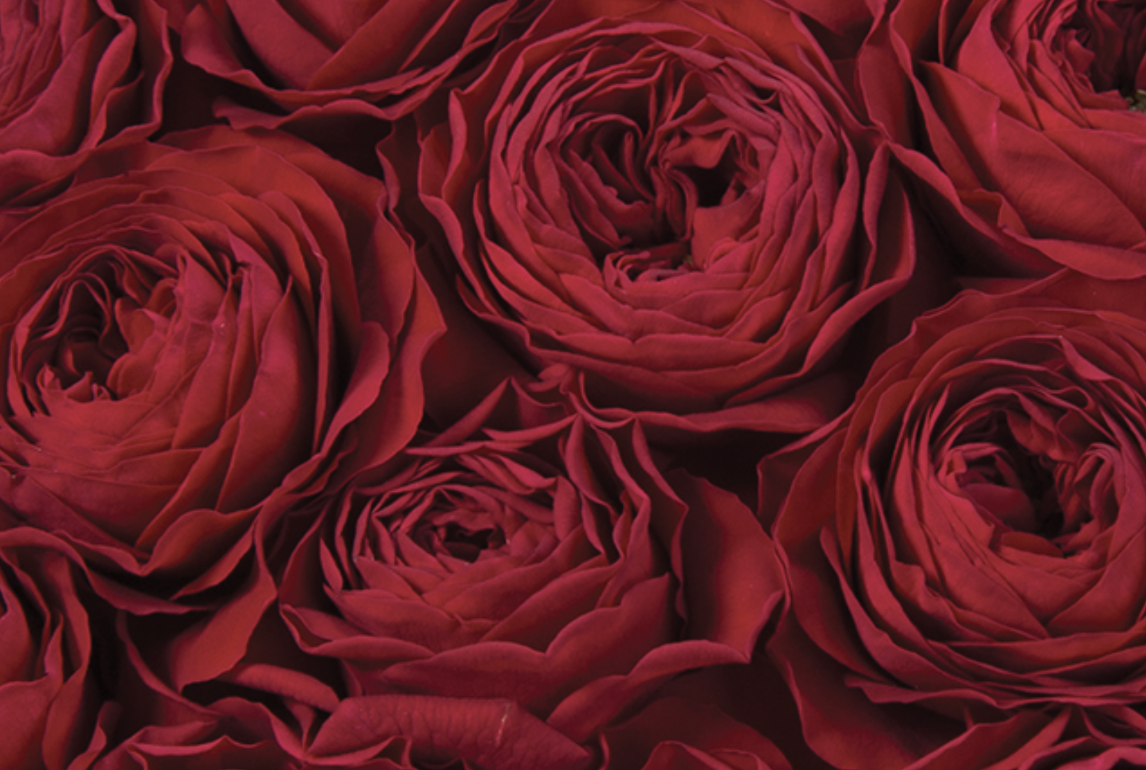 Screen-Shot-2023-06-01-at-11713-pm